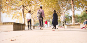 武定小二专业优势